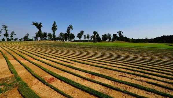 2023农业农村部补贴项目,中央2023年农业农村补贴政策