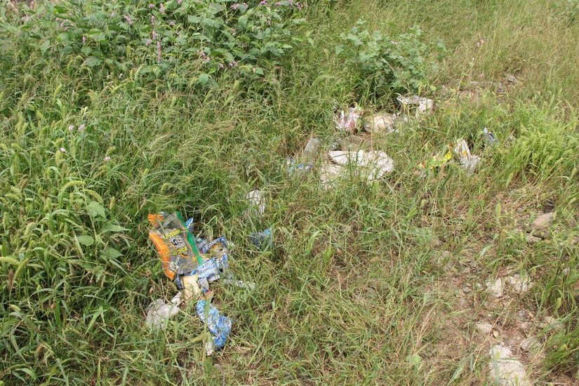 垃圾的烦恼,垃圾带来的烦恼