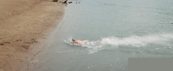 秦俊杰杨紫谈多久了,杨紫秦俊杰现在谈恋爱了吗