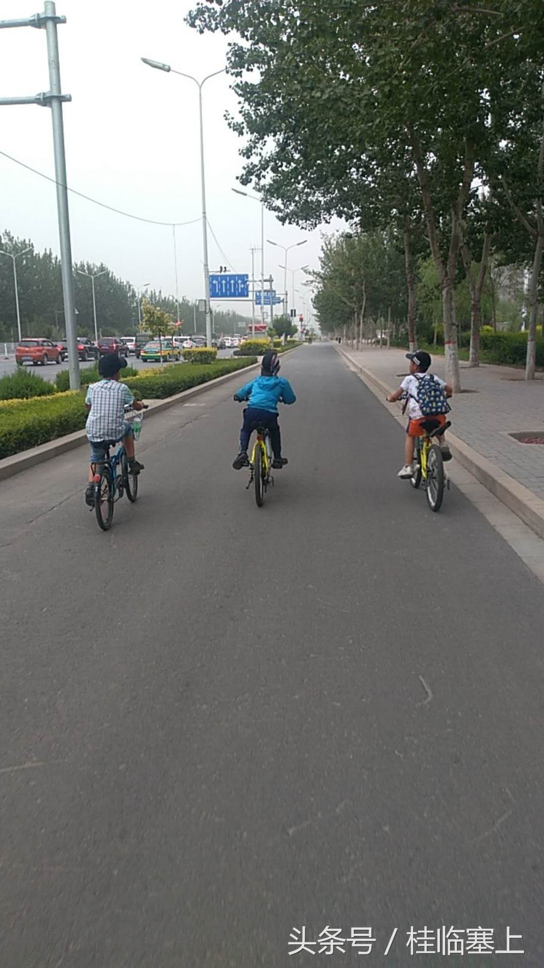 银川人旅游,银川市民骑车