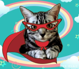 养一只猫家里好臭怎么办,养一岁猫该怎么清理粪便