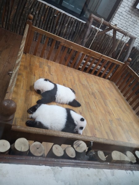 前往泸沽湖自驾游,往泸沽湖出发