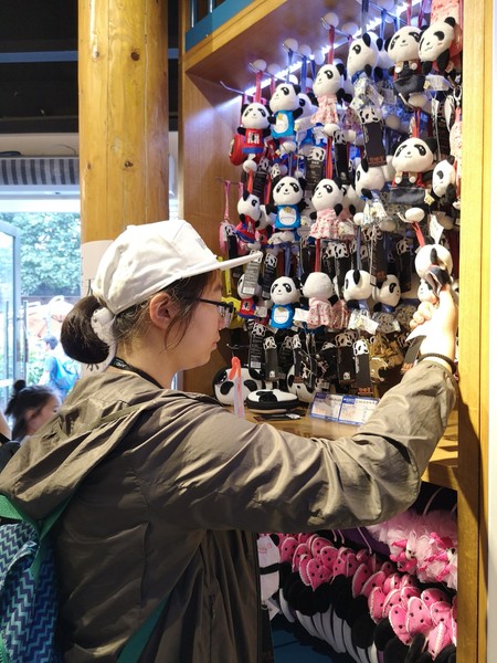 前往泸沽湖自驾游,往泸沽湖出发