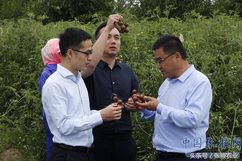 百e国际香港,百e国际平台