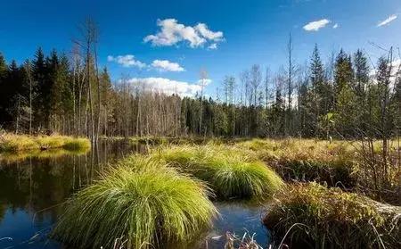 免签落地签的国家一览表,免签落地签国家一览表