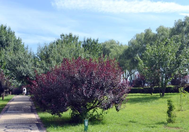 老单反变身高端单反，别问我是怎么做到的！