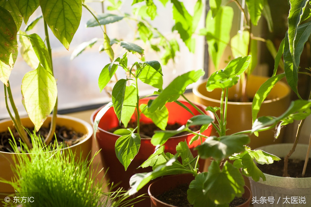 饭后犯困是什么原因,饭后就困这是什么原因