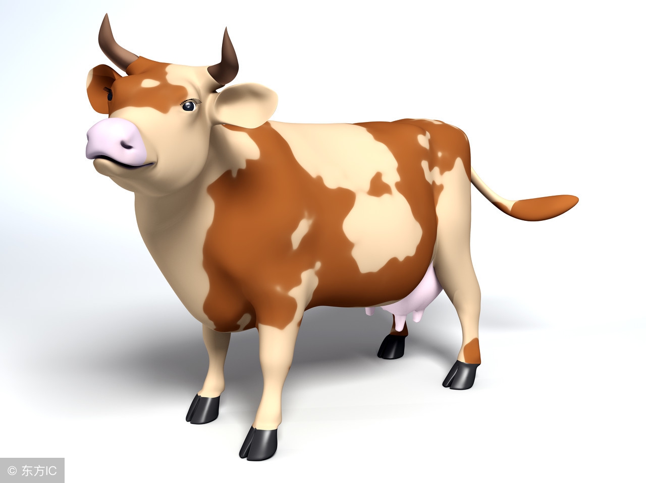 十二属相婚配表鸡和狗,十二属相排列顺序