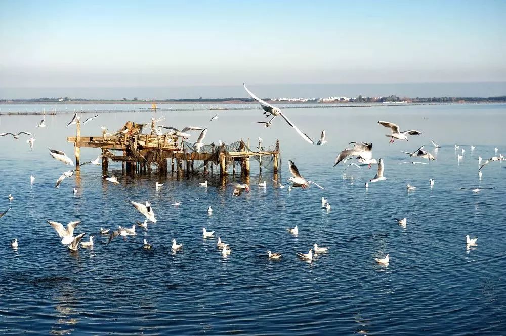 青岛旅游景点票价,青岛景点及票价