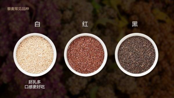 藜麦——碧昂斯靠它瘦了50斤的超级食物！｜双11砍价大优惠
