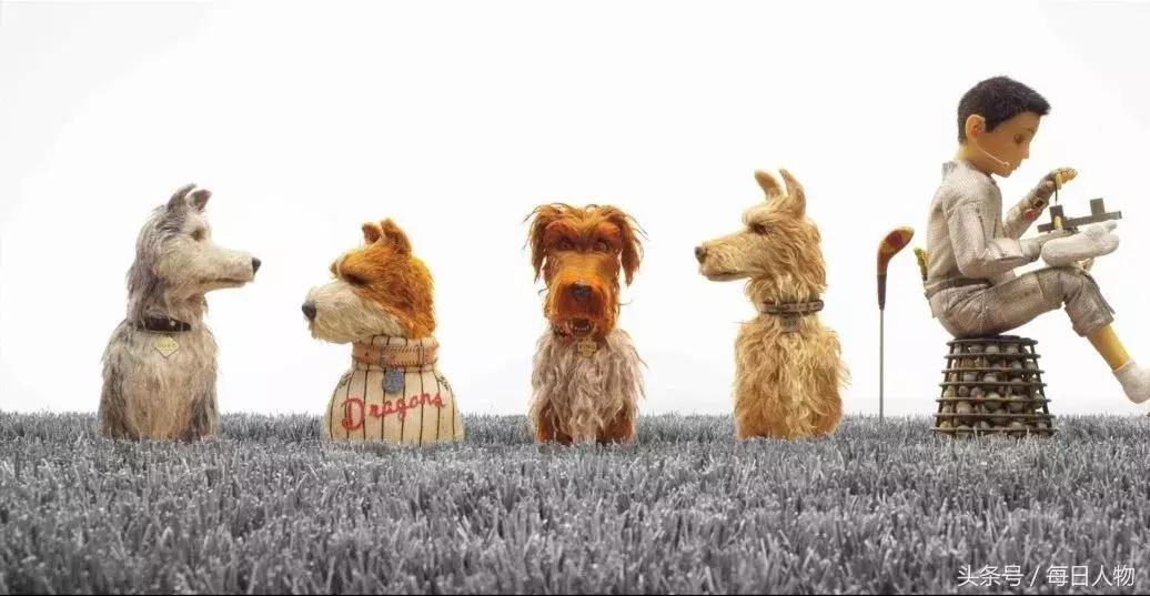 近五年中国宠物狗伤人事件统计,宠物狗伤人狗主责任