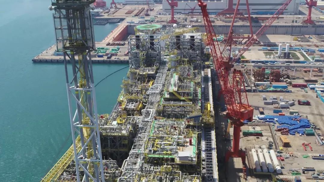 辽宁海边惊现巨型海兽,青岛发现的巨兽