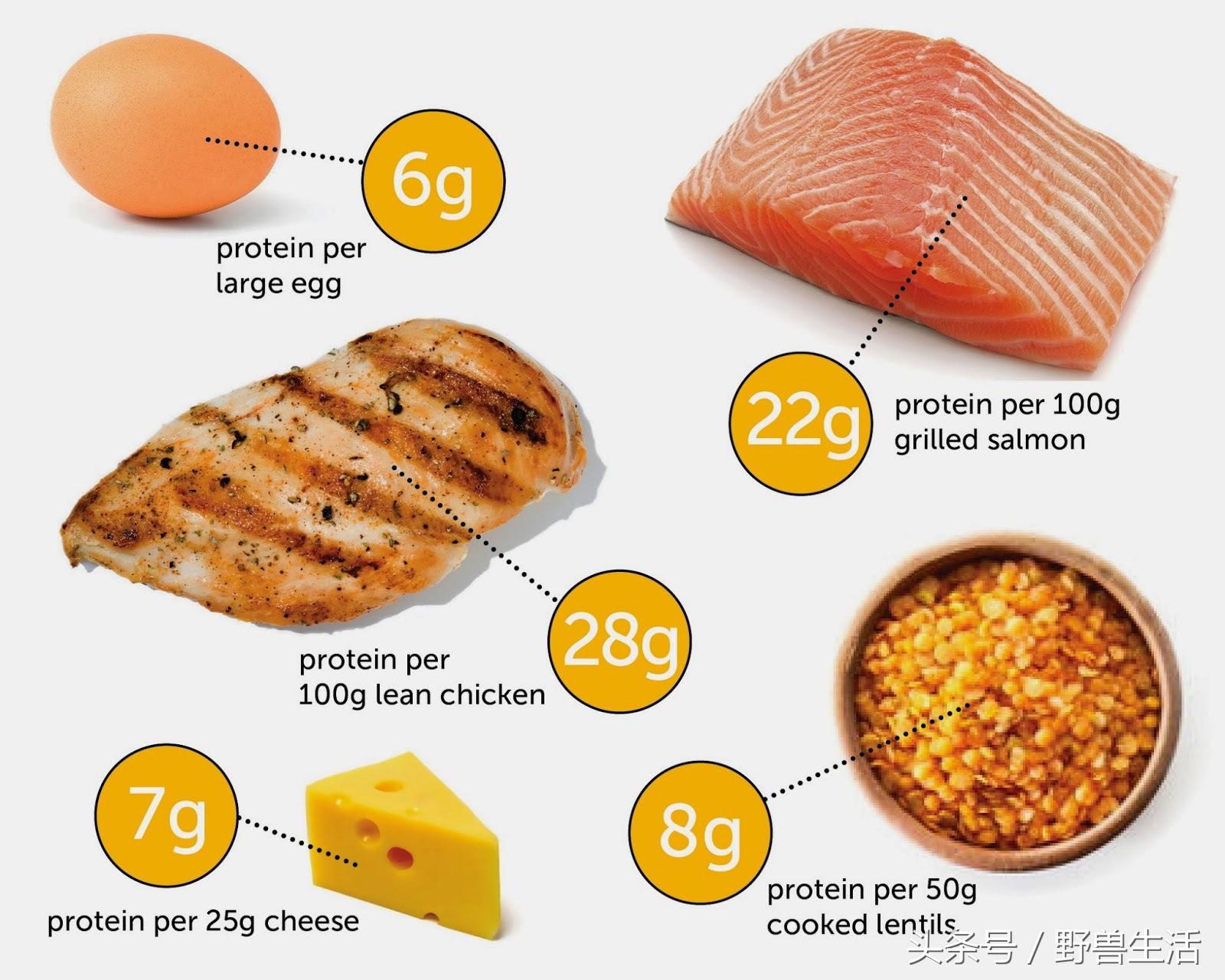 大脑退化不一定会脑萎缩,大脑贫血会有什么状况