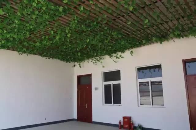 邳州戴庄寄宿小学,邳州寄宿小学怎么入学