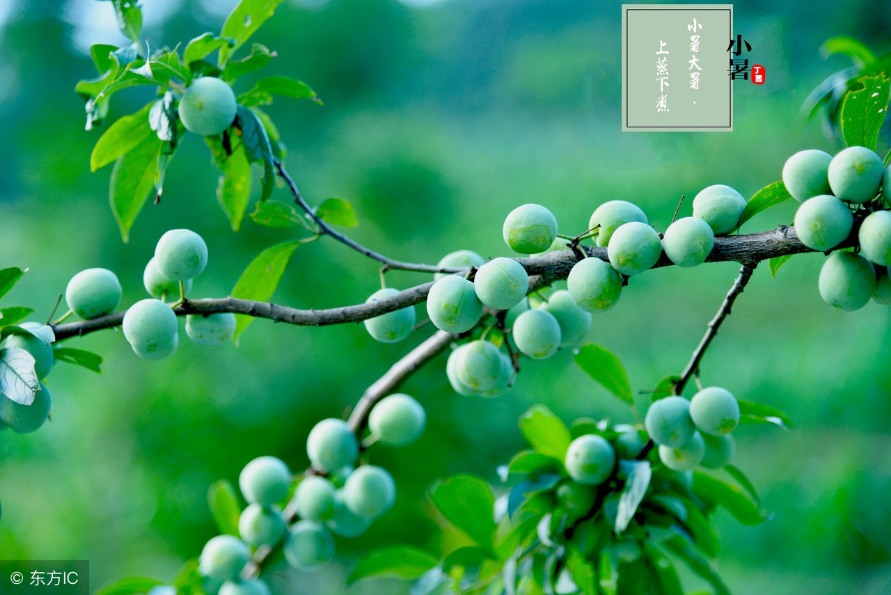 涨知识为孩子收藏,涨知识建议替孩子收藏