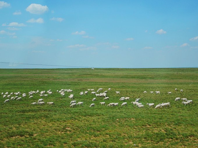 分享I鄂尔多斯少年那达慕，意义非凡的一场研学之旅