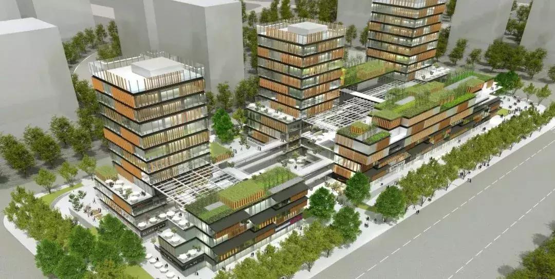 打造700亩湿地公园需要多少钱,国家森林公园奉贤