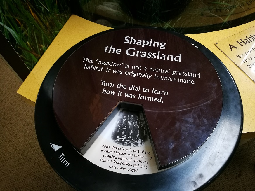 原始森林房车游记,红杉林房车自驾游