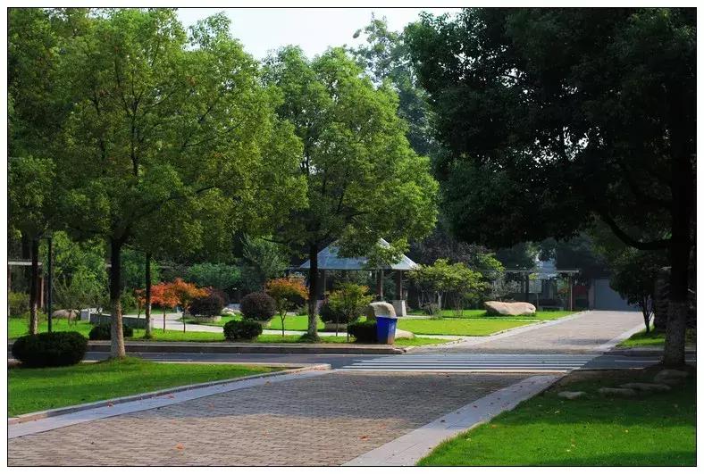 再见合肥师范完整视频,合肥二中校园