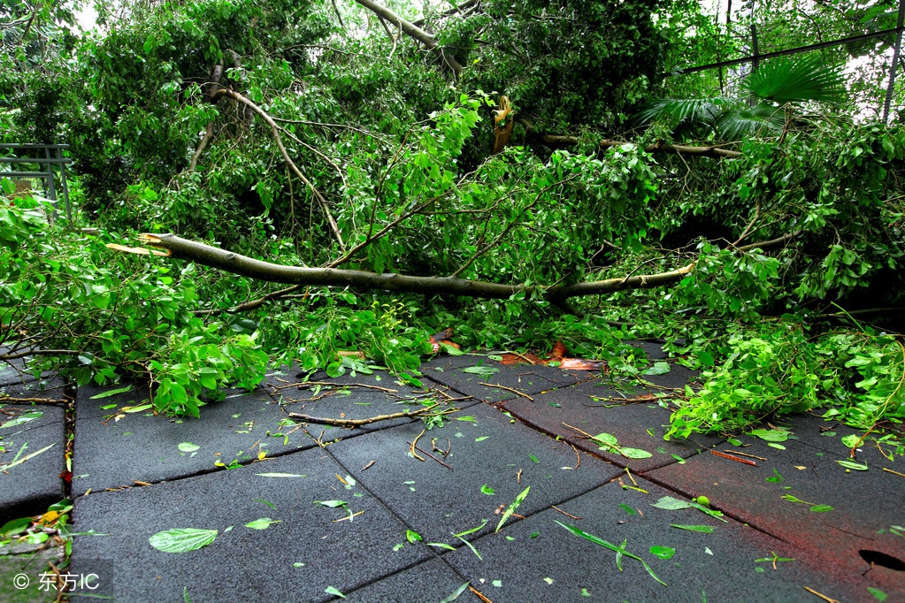 历史上最严重台风灾害,中国十大台风灾难事件