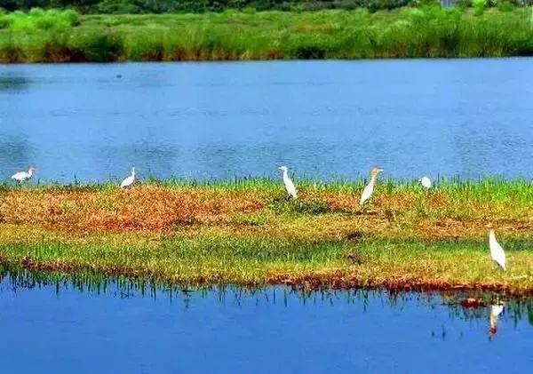 香港太平山景区,香港南丫岛景区