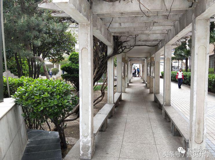 郑州11中为民中学初中部咋样,十一中郑州初中