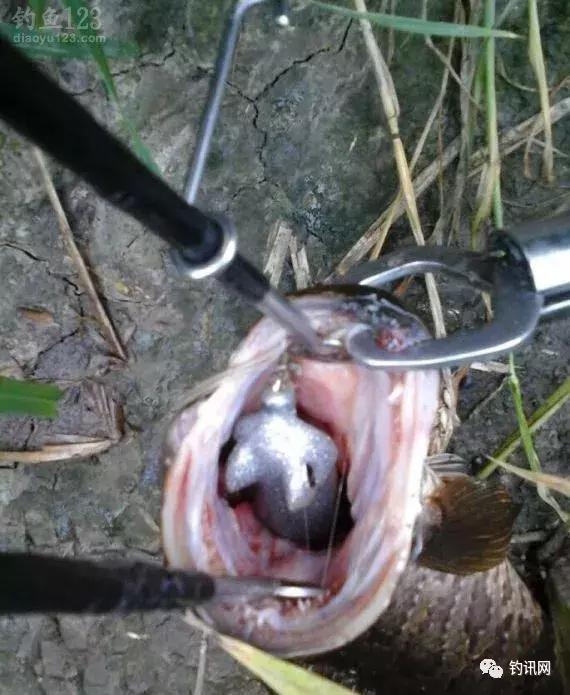 雷蛙抛投砸水面,雷蛙入水炸线