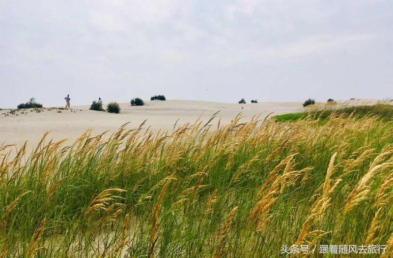 乐亭虹宇国旅月坨岛水上小木屋,月坨岛小木屋景色