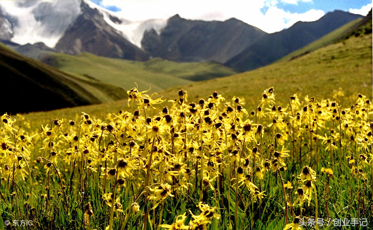 搭错车终究还是错过了,搭错车