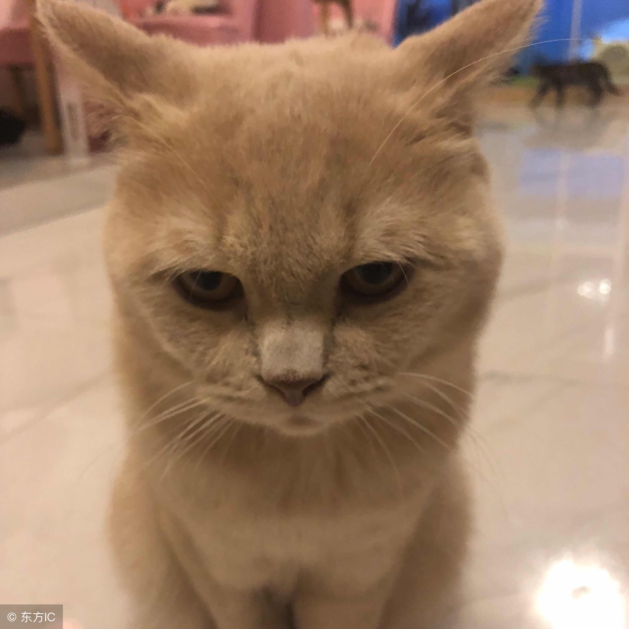 吐槽大会无聊且枯燥,吐槽大会不想上班主题