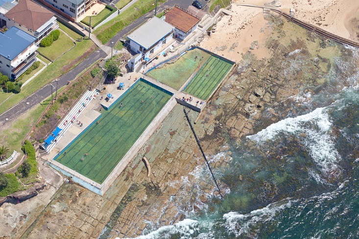 出走澳洲：到鹈鹕之都赏三面水景，观群鸟争食