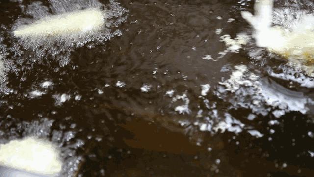 叶月绽放的季节,这种美味我一秒都不想等