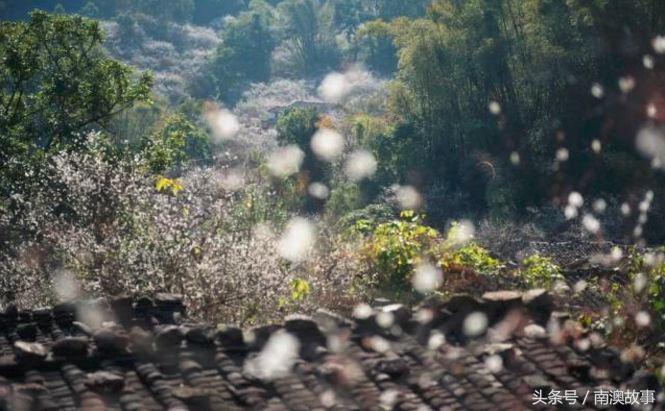 这才是潮汕人该有的样子,这才是正宗的潮汕