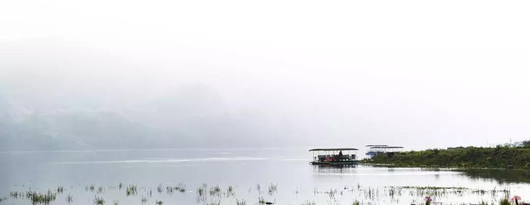 七夕将至，黄姚花海正值赏花期，相约一场简单爱！