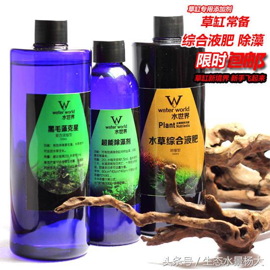 水草常见病,鱼缸水草常见病