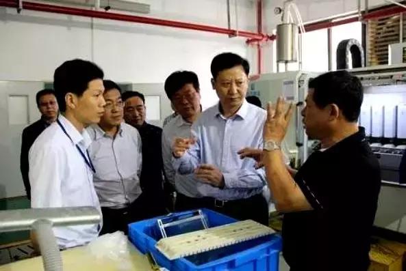 白富美公司破产,白富美公司破产欠债一亿