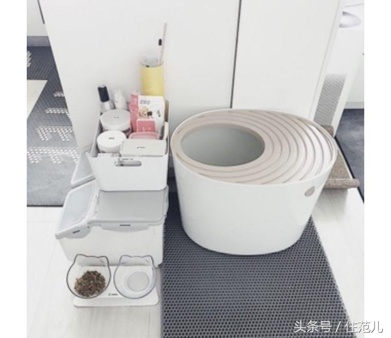 装修对猫咪的影响,怎么减少装修对猫的影响