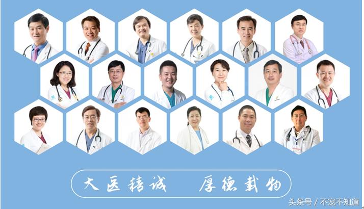 宠物医院良心诊疗在哪里,最近的宠物诊所在哪里