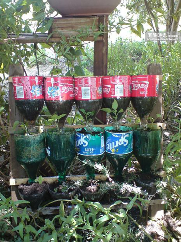 变废为宝自制栽培绿植器皿,塑料瓶创意绿植盆栽旧物利用