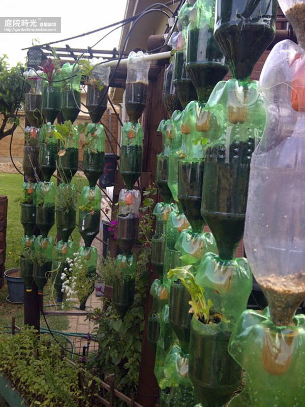 变废为宝自制栽培绿植器皿,塑料瓶创意绿植盆栽旧物利用