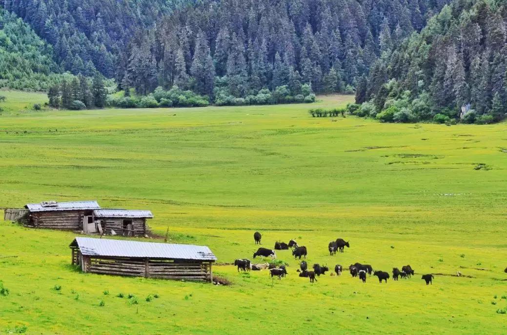 七夕佳节适合情侣旅游的五个地方,七夕适合情侣去的地方贵州