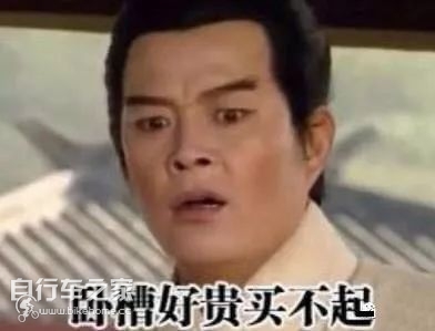 现在自行车为什么那么贵,捷安特自行车为啥贵
