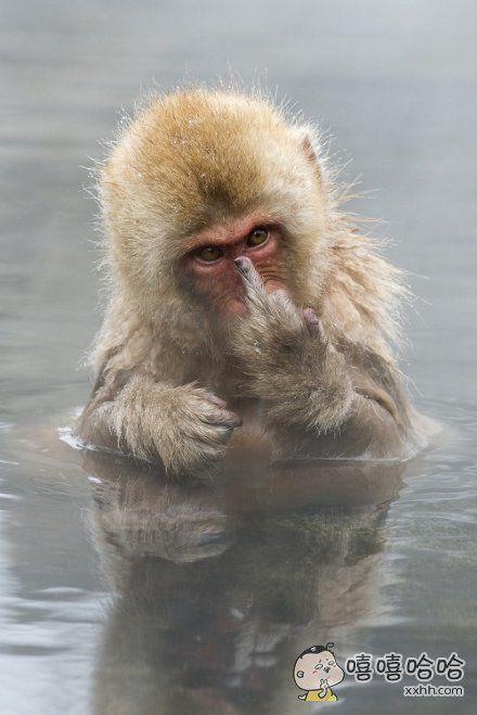 微信个性签名女生简单气质霸气,28个霸气说说句子适合做个性签名