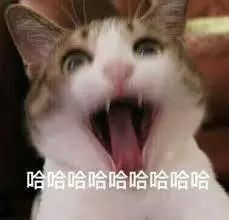 nike的老球鞋,nike的老爹鞋怎么样