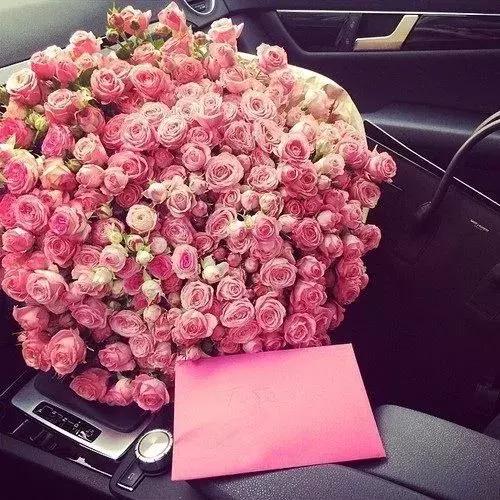 不同颜色玫瑰代表的花语,情人节送自己的玫瑰花语