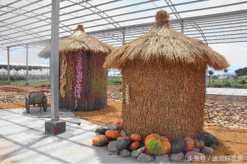 寨春农场青蛙乐园门票,荷塘水库青蛙乐园