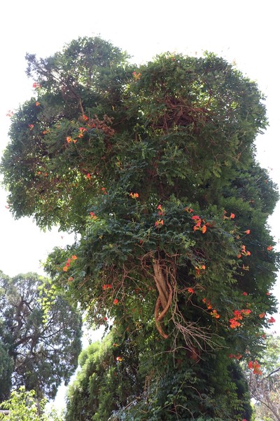 椴呴奔姘撮ズ闈掑矝宕傚北,宕傚北椴呴奔姘撮ズ