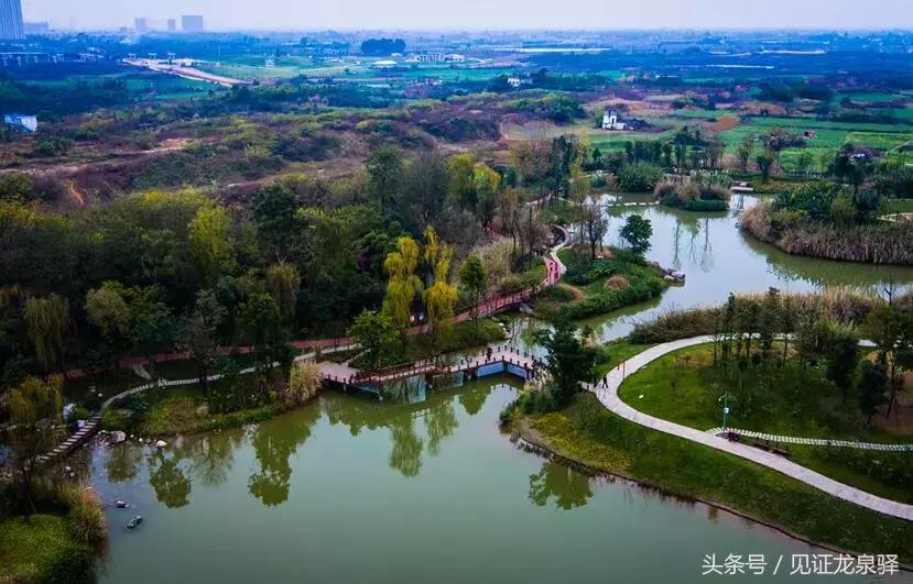 成都龙泉驿有什么好看的地方,成都市最美街道排名