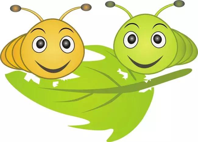 甲维盐高氯杀虫剂特点,拟除虫菊酯类杀虫剂的特点