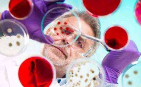 最近的外国奶粉安全吗,疫情荷兰进口的奶粉安全吗